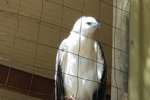 Phillip Island Penguin And Wildlife Tour - Holiday Adelaide 21