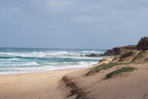 Phillip Island Penguin And Wildlife Tour - Holiday Adelaide 10