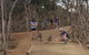 Phillip Island Penguin And Wildlife Tour - thumb 34