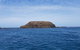 Phillip Island Penguin And Wildlife Tour - thumb 17