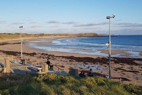 Phillip Island Penguin And Wildlife Tour - Holiday Adelaide 8