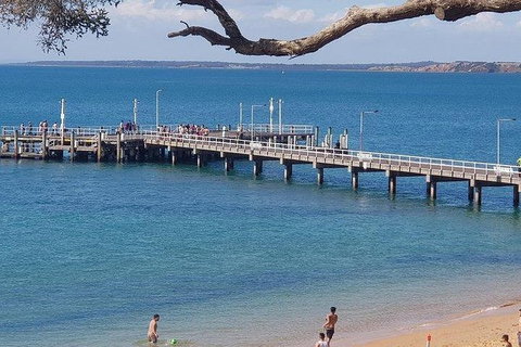 Phillip Island Penguin And Wildlife Tour - Holiday Adelaide 2