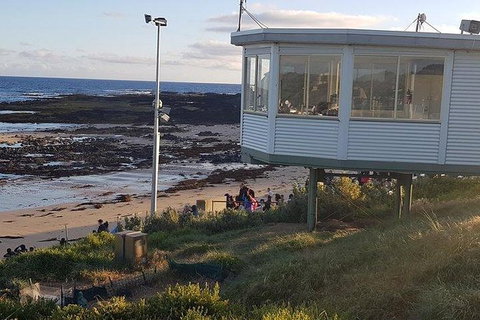 Phillip Island Penguin And Wildlife Tour - Holiday Adelaide 33