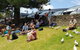 Phillip Island Penguin And Wildlife Tour - thumb 22