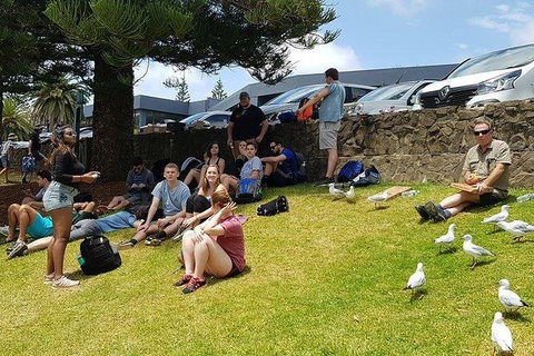 Phillip Island Penguin And Wildlife Tour - Holiday Adelaide 22