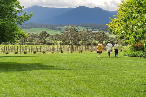 Yarra Valley Wine Tasting Day Tour From Melbourne - Holiday Adelaide 6