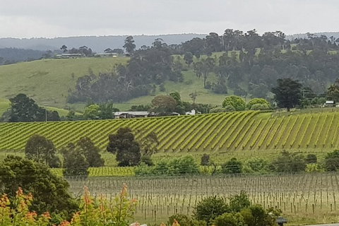 Yarra Valley Wine Tasting Day Tour From Melbourne - Holiday Adelaide 0