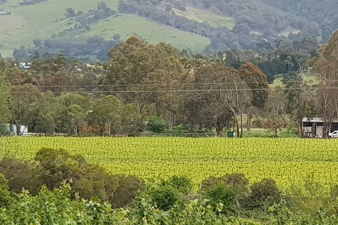 Day Tour Of Yarra Valley Puffing Billy And Rayners Orchard - Holiday Adelaide 44