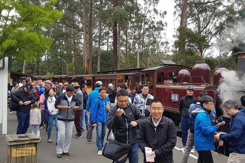 Day Tour Of Yarra Valley Puffing Billy And Rayners Orchard - Holiday Adelaide 3