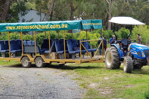 Day Tour Of Yarra Valley Puffing Billy And Rayners Orchard - Holiday Adelaide 48