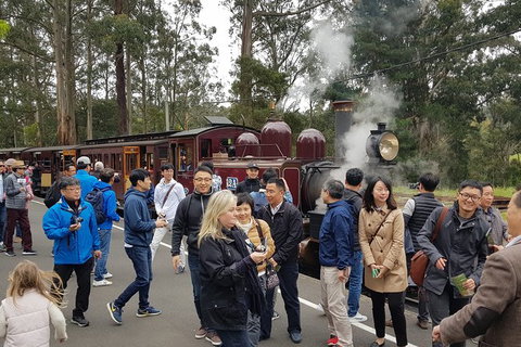 Day Tour Of Yarra Valley Puffing Billy And Rayners Orchard - Holiday Adelaide 18