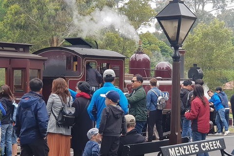 Day Tour Of Yarra Valley Puffing Billy And Rayners Orchard - Holiday Adelaide 40