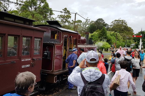 Day Tour Of Yarra Valley Puffing Billy And Rayners Orchard - Holiday Adelaide 23