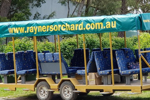 Day Tour Of Yarra Valley Puffing Billy And Rayners Orchard - Holiday Adelaide 33