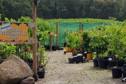 Day Tour Of Yarra Valley Puffing Billy And Rayners Orchard - Holiday Adelaide 22