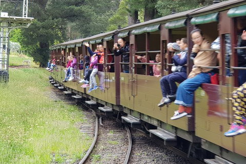 Day Tour Of Yarra Valley Puffing Billy And Rayners Orchard - Holiday Adelaide 13