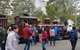 Day Tour Of Yarra Valley Puffing Billy And Rayners Orchard - thumb 4
