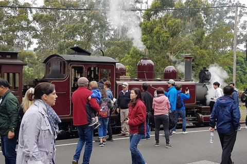 Day Tour Of Yarra Valley Puffing Billy And Rayners Orchard - Holiday Adelaide 4