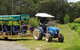 Day Tour Of Yarra Valley Puffing Billy And Rayners Orchard - thumb 25
