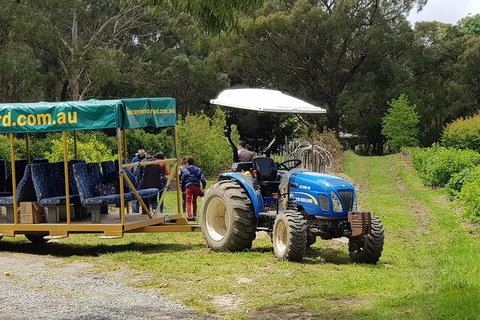 Day Tour Of Yarra Valley Puffing Billy And Rayners Orchard - Holiday Adelaide 25