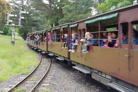 Day Tour Of Yarra Valley Puffing Billy And Rayners Orchard - Holiday Adelaide 24