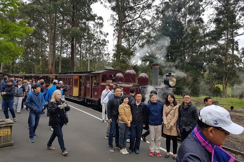 Day Tour Of Yarra Valley Puffing Billy And Rayners Orchard - Holiday Adelaide 9