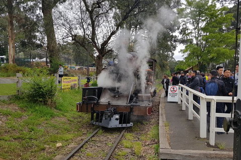 Day Tour Of Yarra Valley Puffing Billy And Rayners Orchard - Holiday Adelaide 43