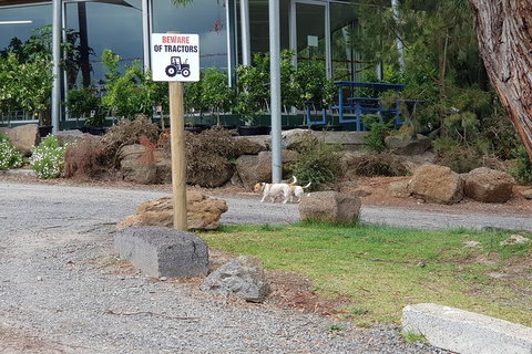 Day Tour Of Yarra Valley Puffing Billy And Rayners Orchard - Holiday Adelaide 2