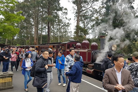 Day Tour Of Yarra Valley Puffing Billy And Rayners Orchard - Holiday Adelaide 12