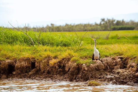 Darwin City Sights And Jumping Crocodile Cruise - Holiday Adelaide 5