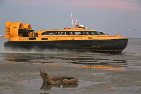 Prehistoric Cocktail Breakfast Hovercraft Tour - Holiday Adelaide 9