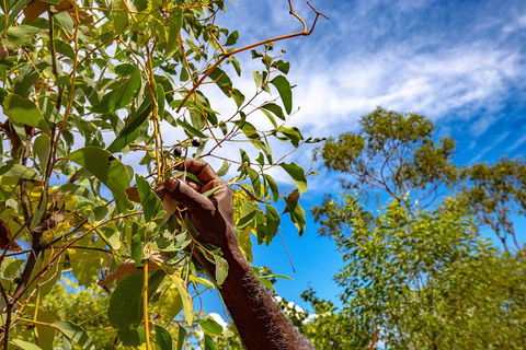 Mitchell Falls And Kimberley Coastal Camp (3night) - Holiday Adelaide 2