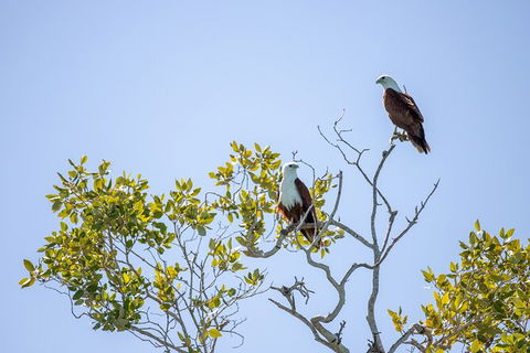 Scenic And Prehistoric Boat Tour - Holiday Adelaide 6