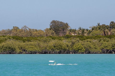 Scenic And Prehistoric Boat Tour - Holiday Adelaide 3
