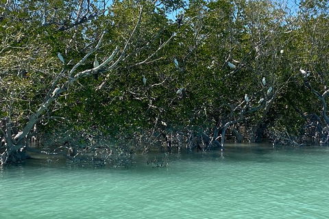 Scenic And Prehistoric Boat Tour - Holiday Adelaide 7