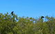 Scenic And Prehistoric Boat Tour - thumb 1