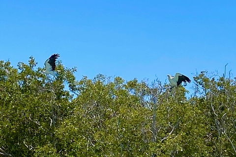 Scenic And Prehistoric Boat Tour - Holiday Adelaide 1