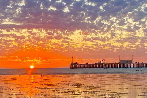 Scenic And Prehistoric Boat Tour - Holiday Adelaide 2
