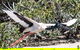Scenic And Prehistoric Boat Tour - thumb 13