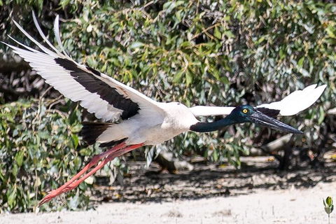 Scenic And Prehistoric Boat Tour - Holiday Adelaide 13