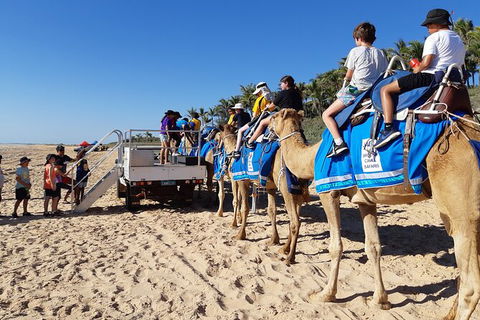 Broome Pre-sunset Camel Tour 30 Minutes - Holiday Adelaide 4