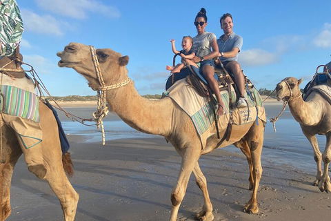 Broome Pre-sunset Camel Tour 30 Minutes - Holiday Adelaide 2