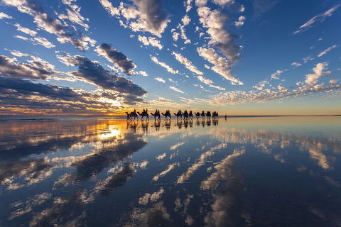 Broome Pre-sunset Camel Tour 30 Minutes - Holiday Adelaide 1