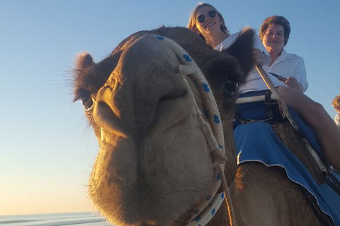 Broome Pre-sunset Camel Tour 30 Minutes - Holiday Adelaide 5