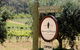 Bickley Valley Wine & Cider Tour - Premium Small Group Tour - thumb 5