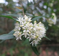 Booderee National Park - Holiday Adelaide