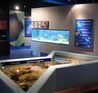 Marine and Freshwater Discovery Centre - Holiday Adelaide