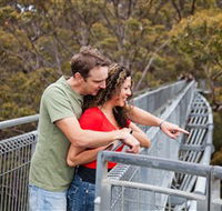 Valley of the Giants Tree Top Walk - Holiday Adelaide