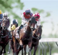 Colac Turf Club - Holiday Adelaide