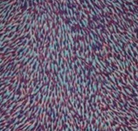 The Gate Gallery - Wollombi - Holiday Adelaide